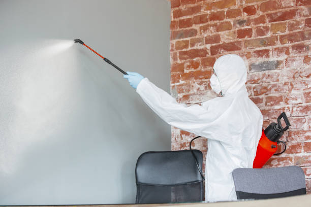Best Mold Remediation for Healthcare Facilities  in Henryville, IN