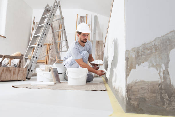 Professional Mold Removal in Henryville, IN