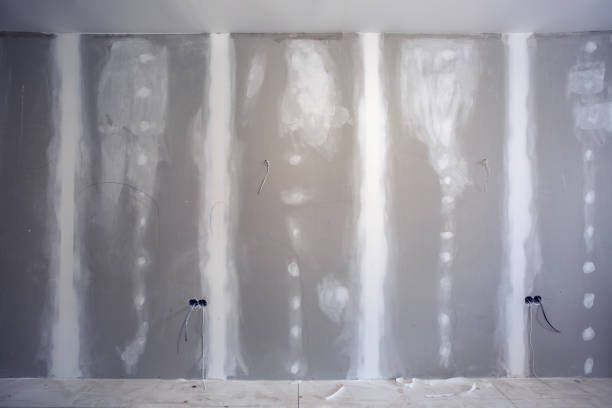 Best Environmental Consulting for Mold Prevention  in Henryville, IN